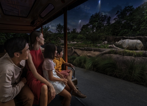 ナイトサファリ